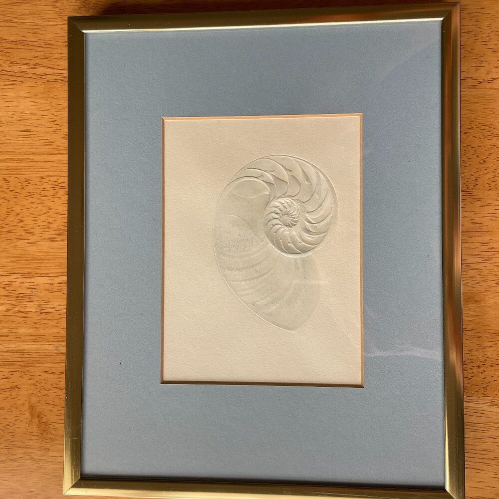 Sea shell picture.